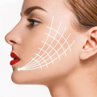 fiosdepdo_image_2024